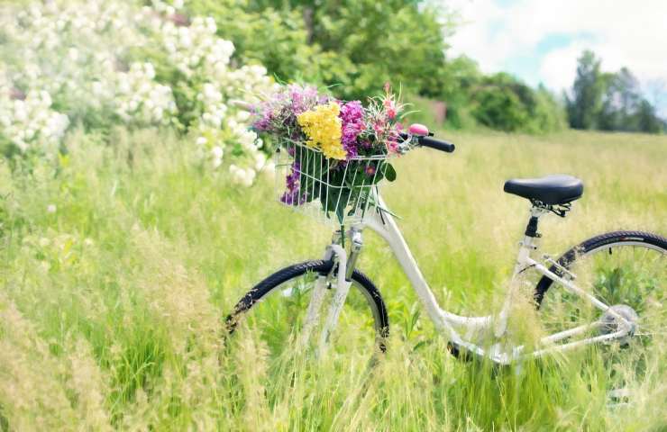 differenza tra primavera metereologica e astonomica