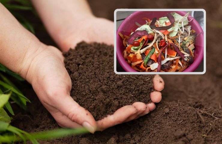 preparazione compost ingredienti casa