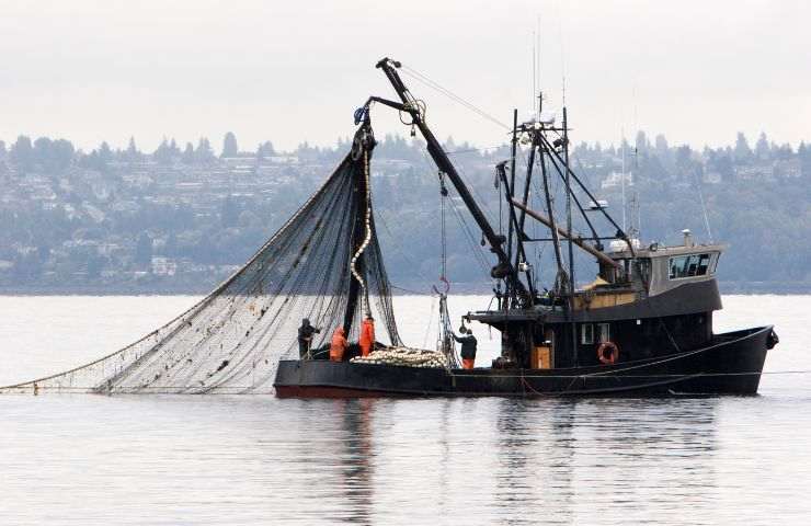 decisione Onu limiti pesca