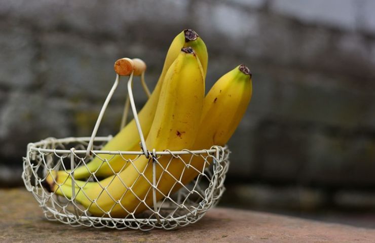 rosa banana trucco esperti fioritura spettacolare