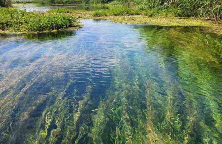 dissalatore acqua salmastra fiume tara