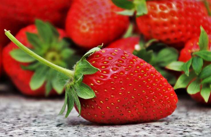 coltivazione fragole: puoi farlo sul balcone 