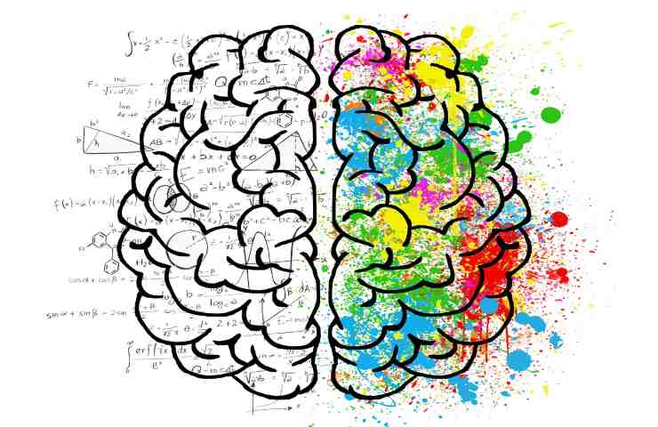 studio sul legame tra cervello ed emozioni