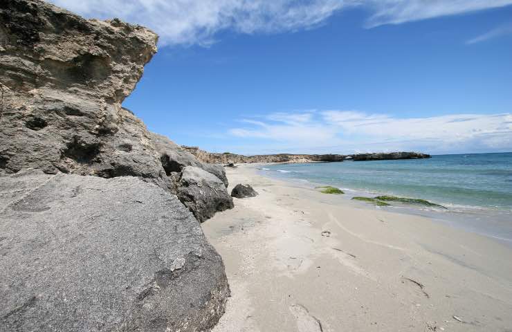 spiagge puglia alimenti americani