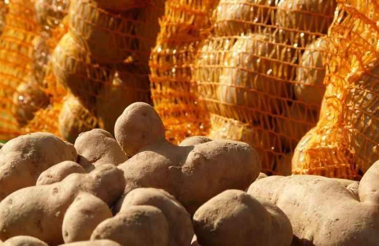 conservazione mele patate cipolle 