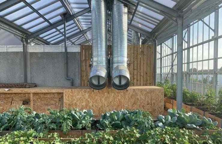 serra tetto verdure chilometro zero