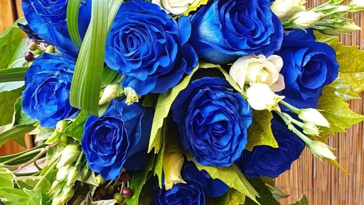 Rose blu esistono
