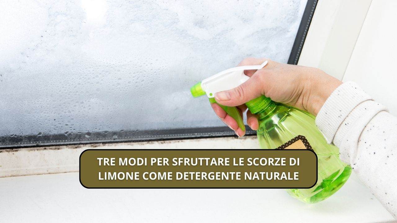 detergente naturale scorza limone