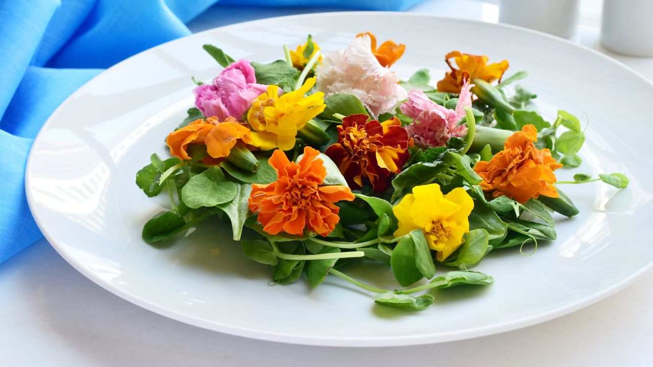 Fiori commestibili info utili