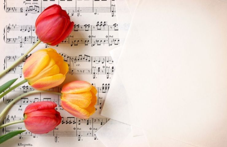 crescita fiori piante con musica