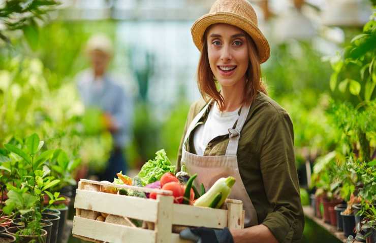 Giovani agricoltora numeri lavoro 