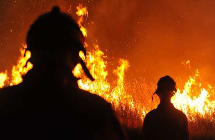 Incendio azienda mucche morte 