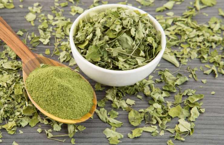 moringa effetti salute