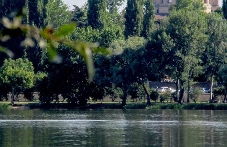 lago, balneazione, verde, Mantova