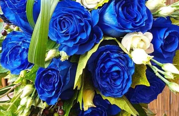 Mazzo di rose blu