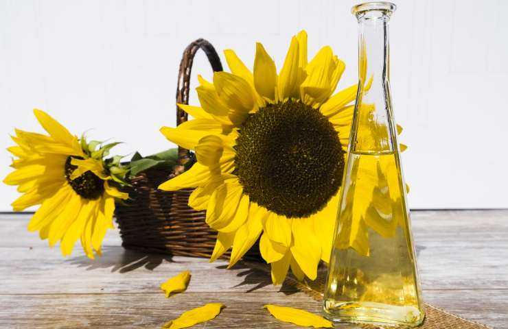 Fiore Di Girasole – Set Di Blocchi Da Costruzione – Mattoncini Per Modellismo Floreale