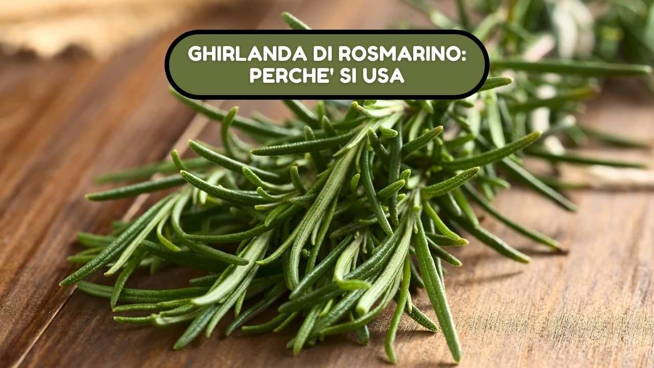 ghirlanda rosmarino utilizzi