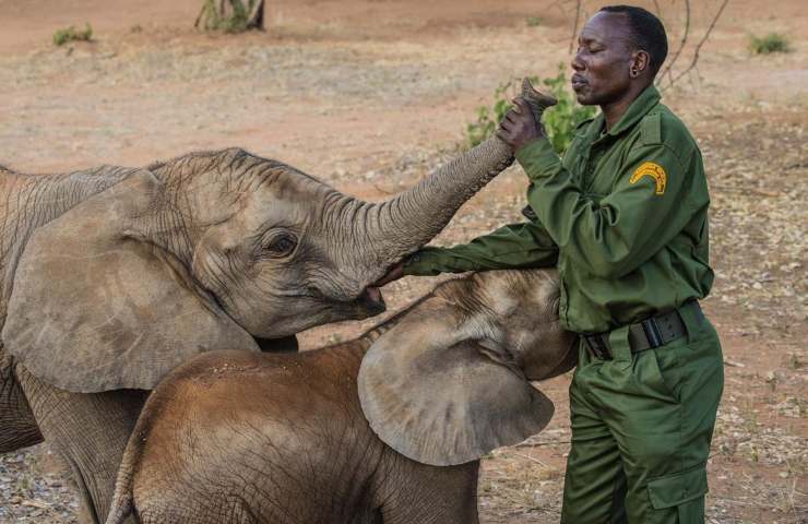 Reteti Elephant Sanctuary Kenya 