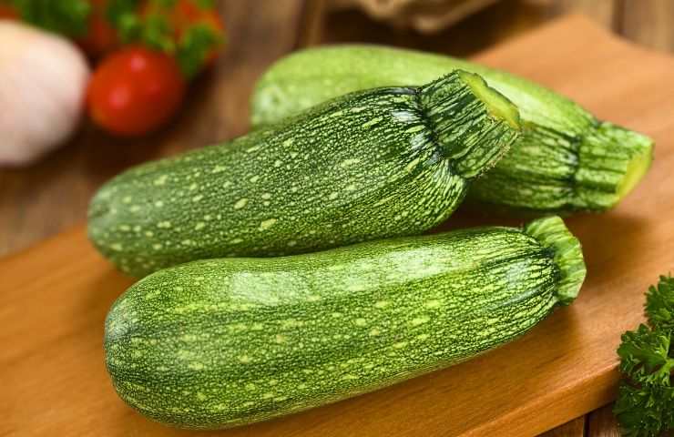 Nella semina delle zucchine è questo l'errore