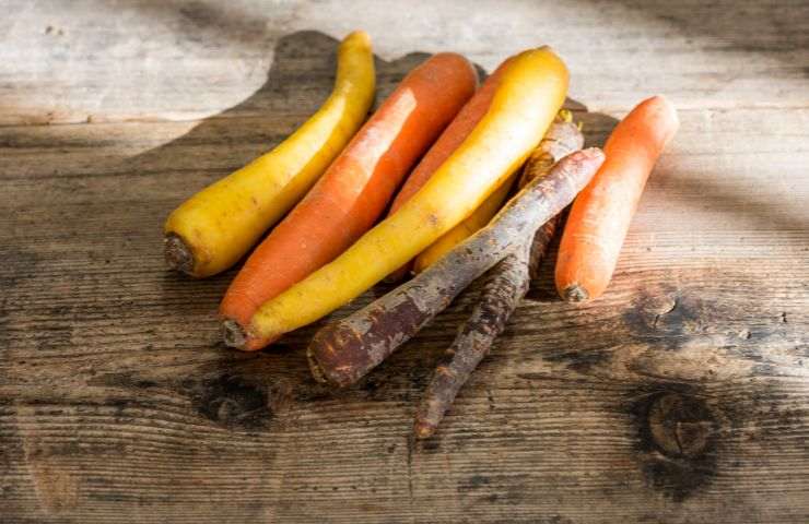 varietà differenti carote