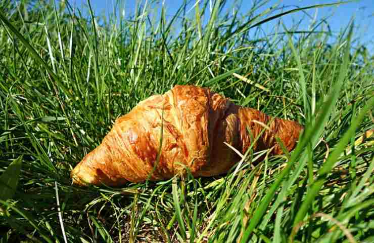 la colazione italiana verso nuove frontiere: la farina di grillo per i croissant 