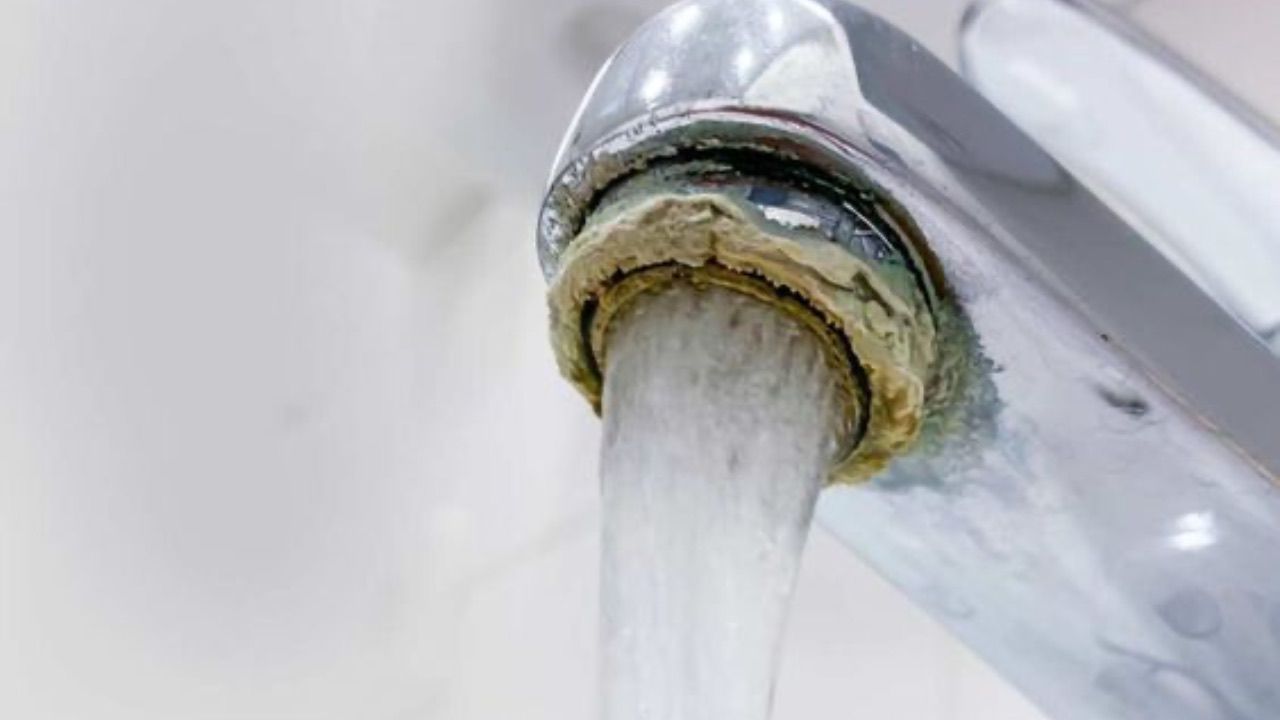 incrostazioni calcare come eliminarle