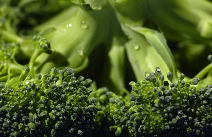 broccoli, gambi, cucina, riutilizzare, ortaggi, verdure