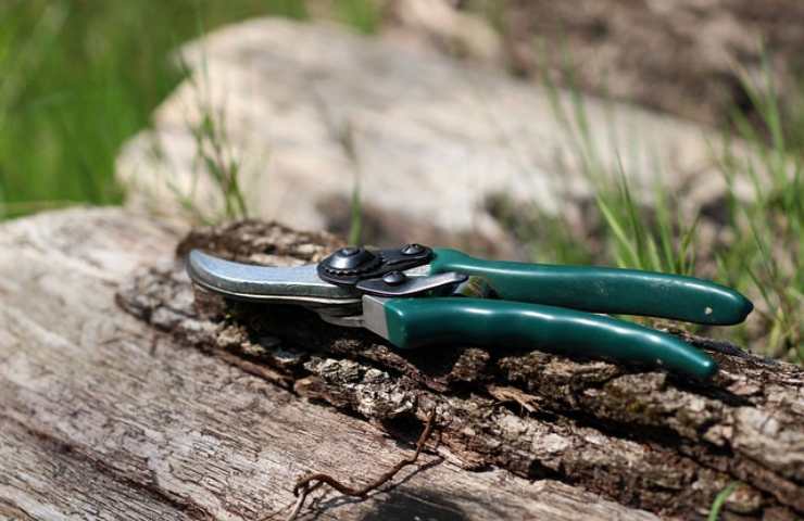 tutte le pratiche ed i lavori da effettuare in giardino con l'arrivo della primavera 