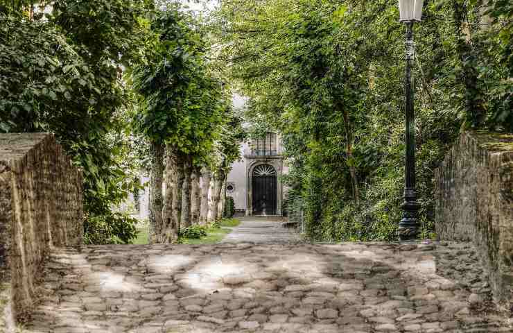 Giardino, alberi, piante, fresco, ombra