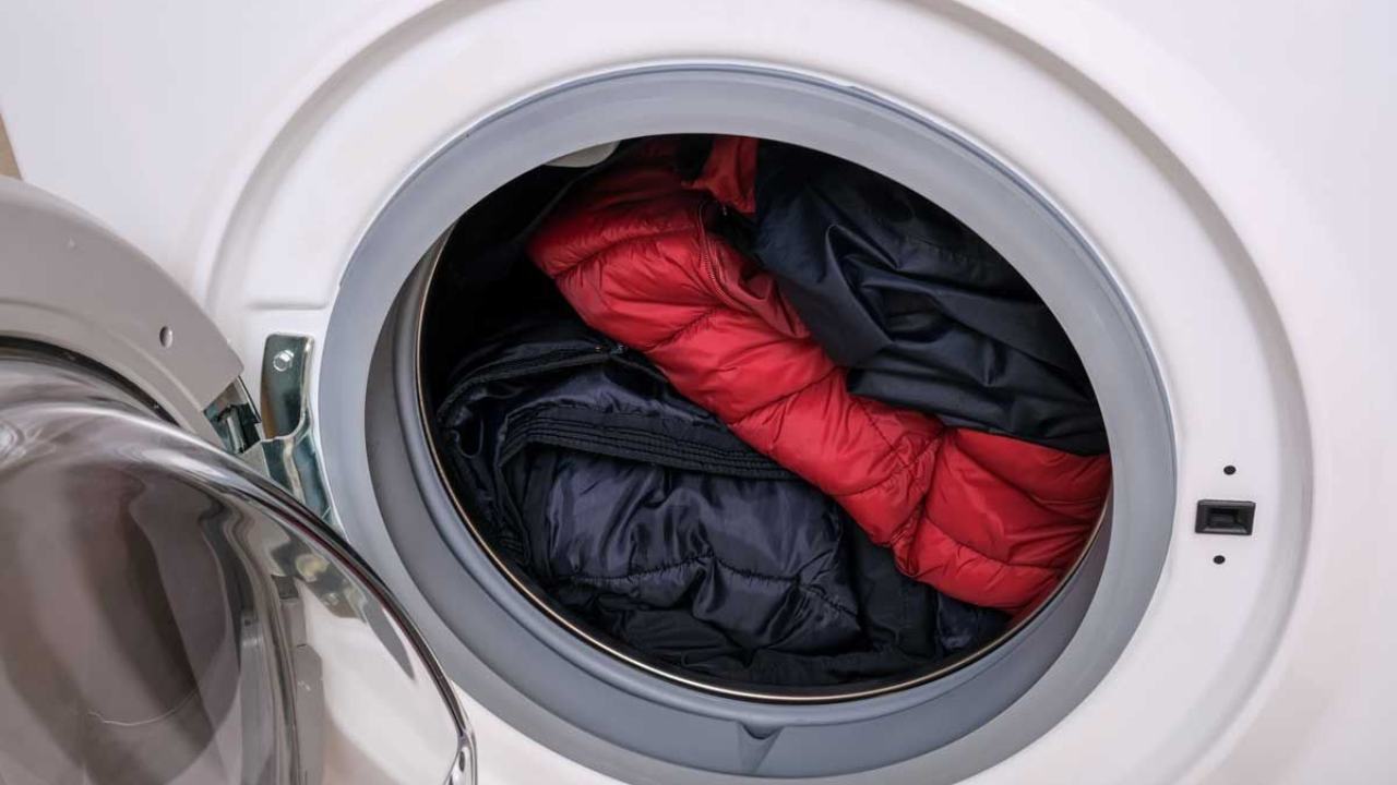 Guarnizione della lavatrice, mai più sporca: i trucchi del mestiere