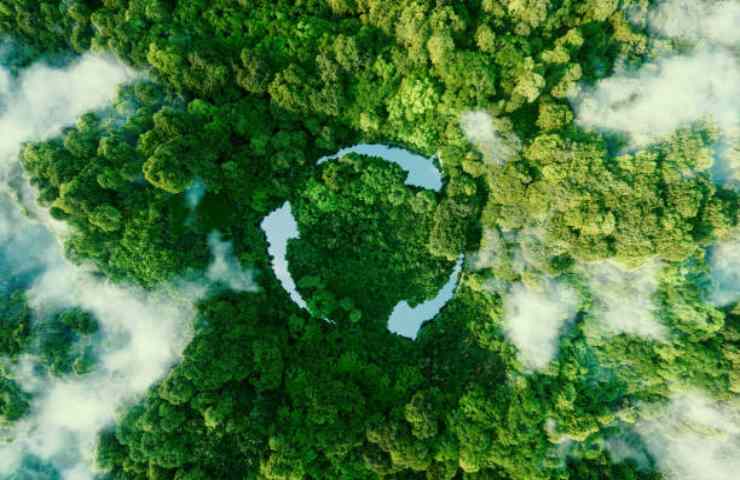 la terra ha bisogno di respirare attraverso gli alberi