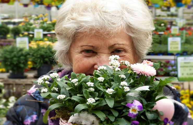 le nonne ed i loro rimedi: quanto sono efficaci?