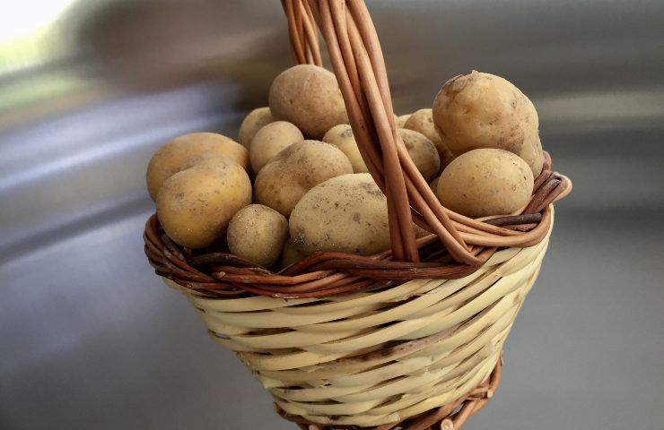 Diversi modi per usare le patate in casa