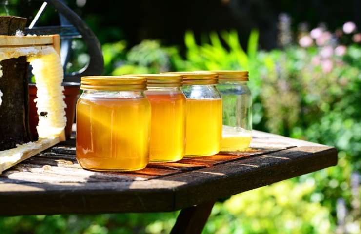 Europa: importazioni di miele falso. Avvio ai controlli 