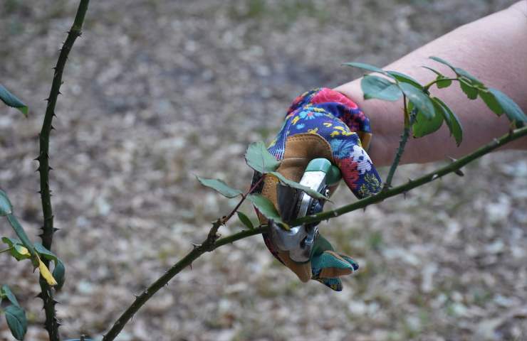 giardino e terrazzo: i lavori di primavera 