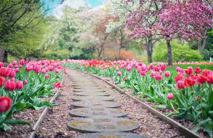 ristrutturare il giardino senza spendere soldi 