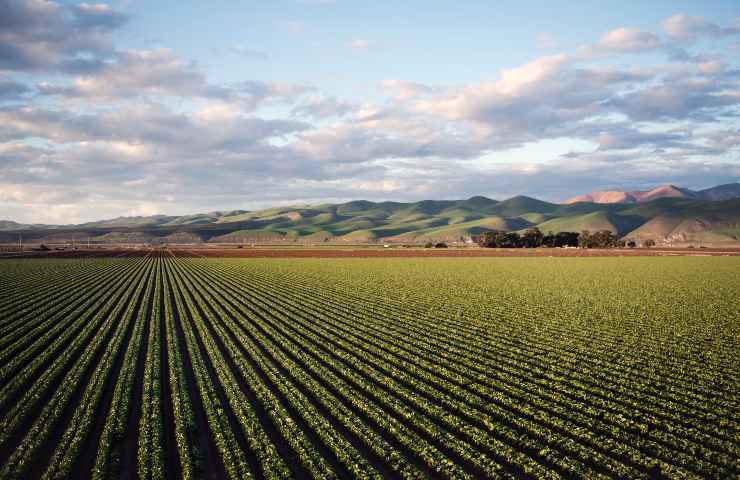 Agrivoltaico: come funziona