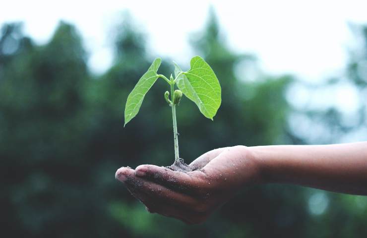 Attenzione per il Pianeta, in crescita nelle aziende