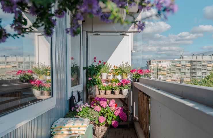 Balcone piante quali non mettere 