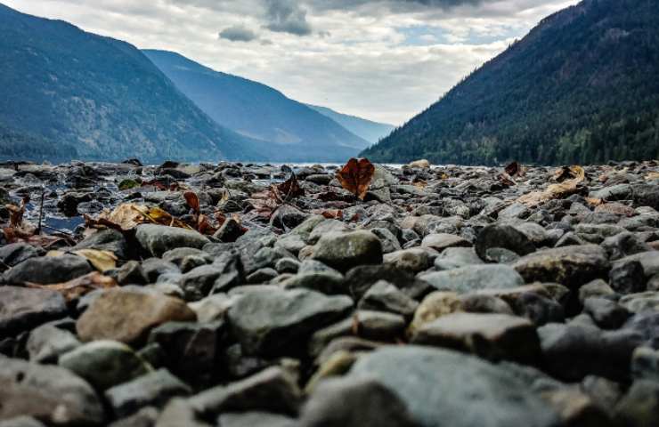 Tutelare la biodiversità, le soluzioni