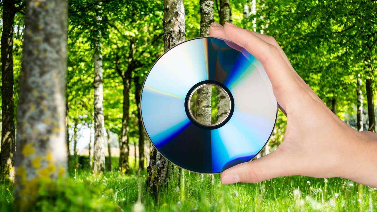 appendere CD alberi