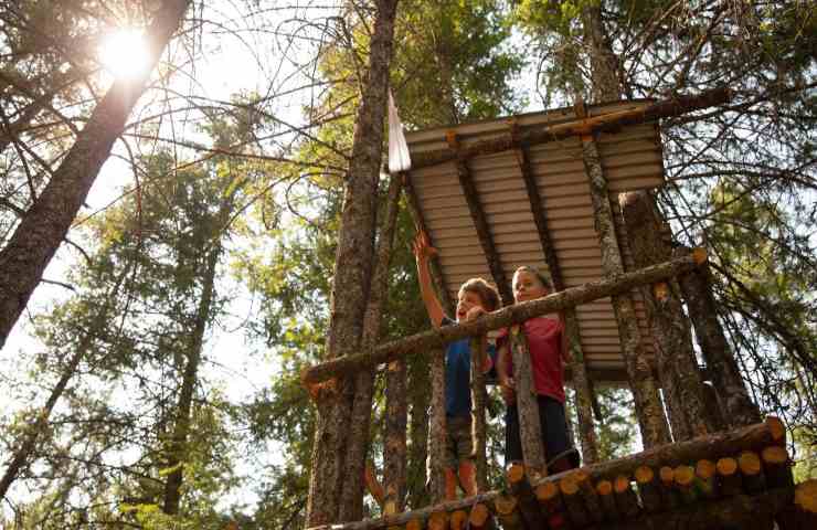 Casette albero bambini normativa