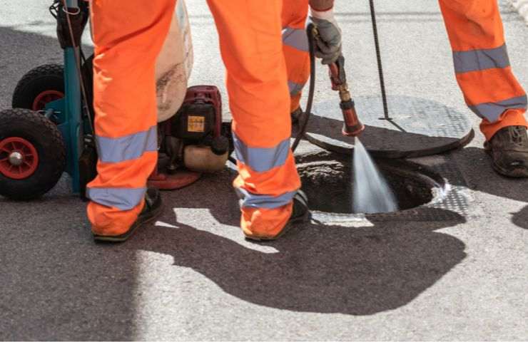 Disinfestazione topi blatte