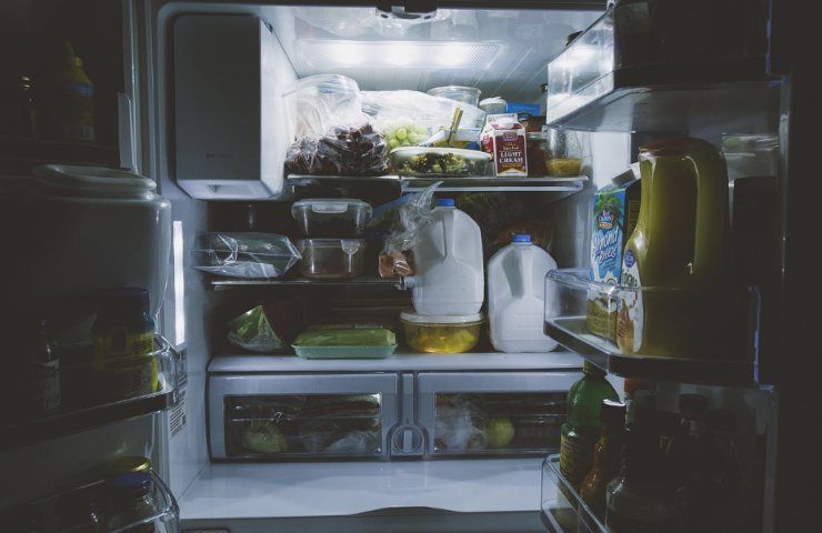 Blatte nel cibo in frigo 