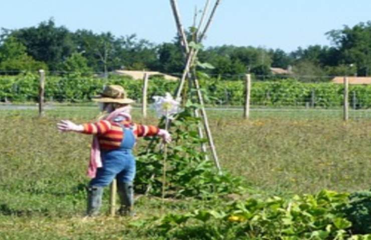 Permacultura, importante per orto e giardino: cos'è e come utilizzarla