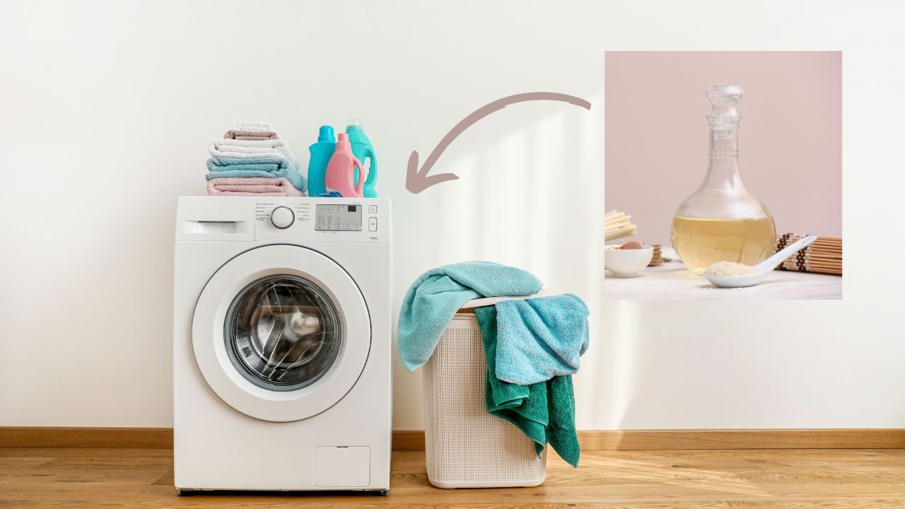 usare aceto lavatrice