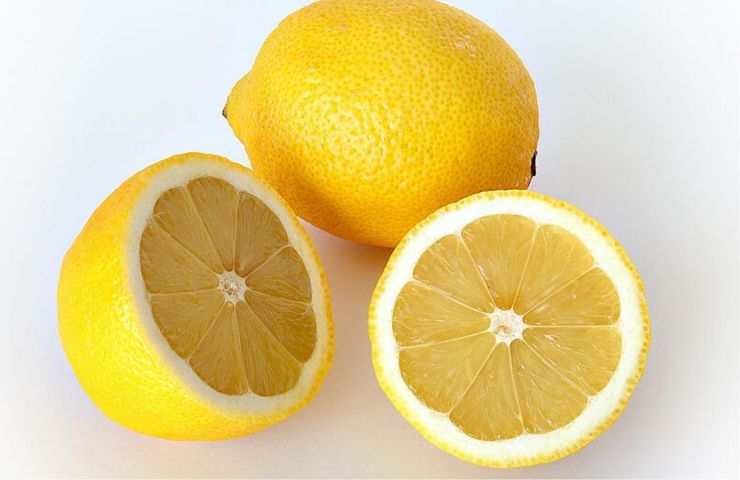 Limone lavastoviglie motivo 