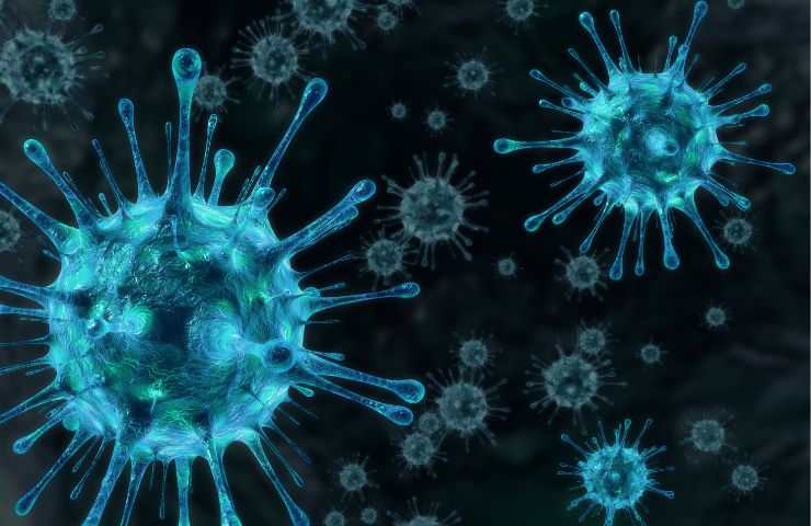 Nuovi virus scoperta dove