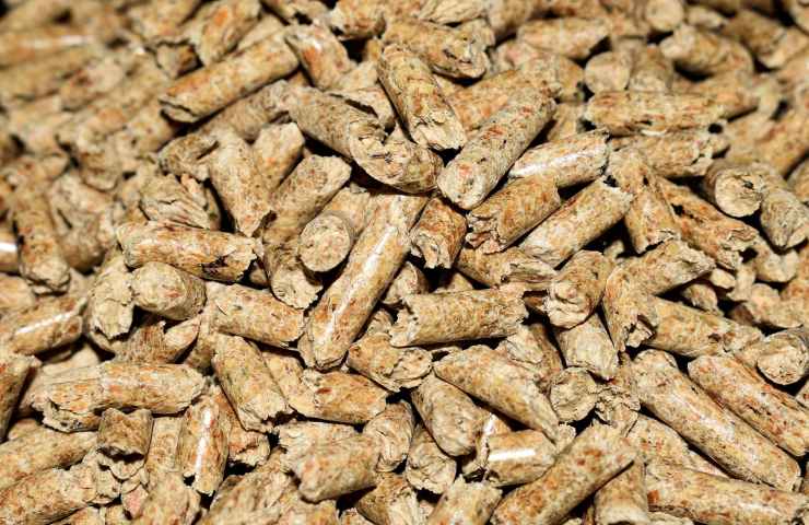 Pellet 2024, occhio al prezzo