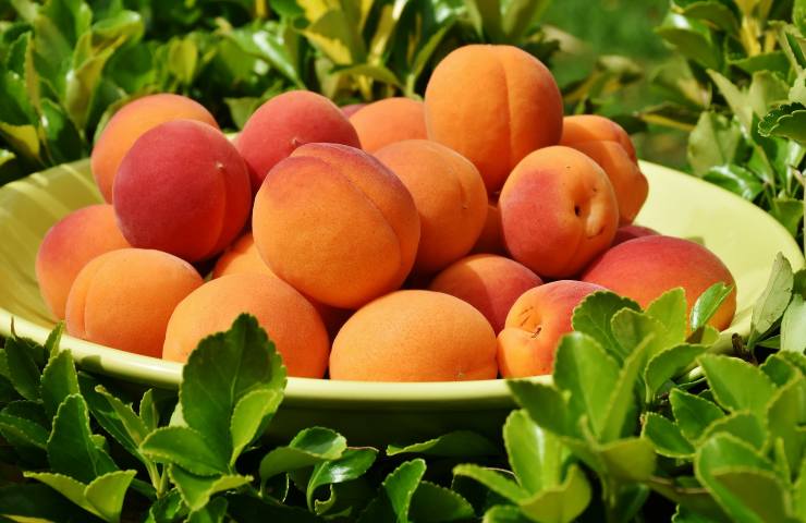 frutta, fresca, primavera, estate, dieta ,vitamine, alimentazione